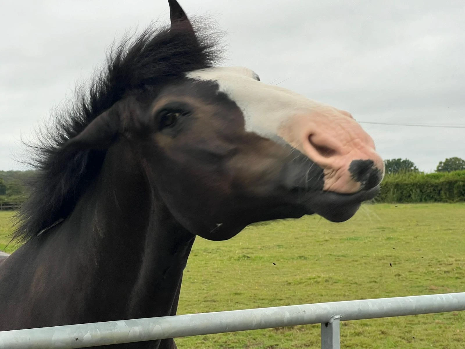 Rebuilding riding confidence on a West Sussex farm